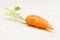 Carrot, baby carrot vegetable