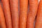 Carrot Background