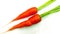 Carrot carota root vegetable snap