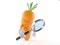 Carrot character looking through magnifying glass