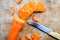 Carrot cut in heart-shaped
