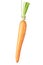 Carrot dangling on white