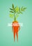 Carrot Diet Colorful Inspirational Vegetable