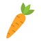 Carrot flat icon, vegetable and food, diet sign