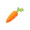 Carrot flat vector icon