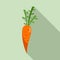 Carrot food icon, flat style