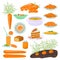 Carrot food products vector illustration. Dishes prepared from carrots, carrot cake, pie, soup, salad and juice. Carrots