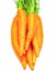 Carrot fresh vegetable