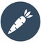 Carrot, fruit, Isolated Vector icon which can easily modify or edit Carrot, fruit, Isolated Vector icon which can easily modify o