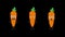 Carrot funny character. Three animations yes no surprised. Transparent background