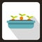 Carrot growing in blue box icon