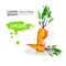Carrot Hand Drawn Watercolor Vegetable On White Background With Copy Space
