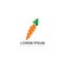 Carrot healthy food organic food market icon flat illustration