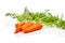 Carrot. Healthy lifestile. Green concept