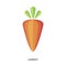 Carrot. Healthy tasty food. Orange Organic Fresh Vegetable.