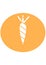 Carrot Icon. Illustration on the theme of vegetables. Nutrition on a diet. Keto diet. Interval fasting. Farm products. Healthy bre