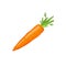 Carrot icon isolated