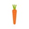 Carrot icon isolated on white background.  Orange crunchy vegetable.