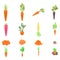 Carrot icons set, isometric style