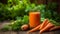 Carrot Juice on a rustic wooden table