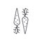 Carrot line icon concept. Carrot vector linear illustration, symbol, sign