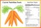 Carrot Nutrition Facts