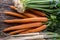 Carrot parsnip celery. Celery carrot and parsnip on rustic oak table