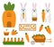 Carrot Patch Bunny vector illustration