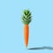 Carrot with pineapple leaves on pastel blue background. Easter m