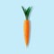 Carrot with pineapple leaves on pastel blue background. Minimal Easter composition