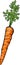 Carrot root vegetable cartoon illustration