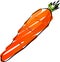 Carrot sketch