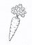 Carrot with a stem of leaves. Healthy vegetarian food. Ingredient for vegetable menu. Vector illustration.