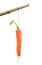 Carrot on a stick