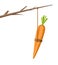 Carrot on a stick