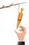 Carrot on a stick in hand.