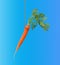 Carrot on a stick isolated on blue background