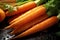 Carrot sticks healthy food background