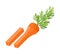 Carrot sticks - natural healhy food