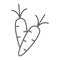 Carrot thin line icon, vegetable and food, root sign, vector graphics, a linear pattern on a white background.