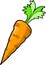 Carrot Vector Illustration