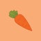 Carrot Vector Illustration. Clip Art Flat Design