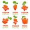 Carrot vegetable vegan menu and fresh juice, vector collection