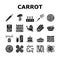 Carrot Vitamin Juicy Vegetable Icons Set Vector