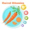 Carrot vitamins infographics. Healthy organic food. Key Nutrients In vegetables. Vector illustration