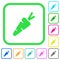 Carrot vivid colored flat icons