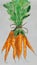 Carrot on white background, watercolor illustration. Watercolor vegetables set: carrot on white. Set of bunch ripe carrots.