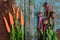 Carrots and beets with green juicy tops lie on a rusty turquoise background. View from above. Fresh harvest from the