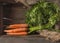 Carrots bunch with leaves