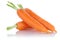 Carrots carrot fresh vegetable vegetables isolated